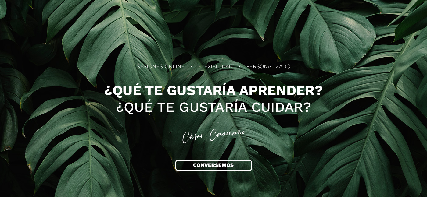 Conversaciones Transformadoras - César Caamaño Coach